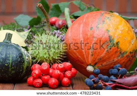 colorful nature still life with  fall plants