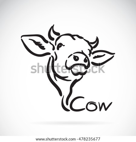 Vector of a cow logo on white background. Animal design