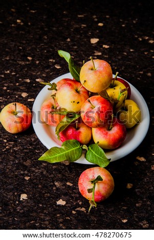 Fresh harvest of apples. Nature theme with container plate bowl on wooden background. Nature fruit concept.

