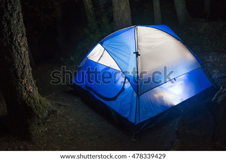 Adventure camping in the forest at night time