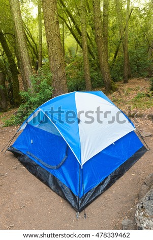 Adventure camping in the forest
