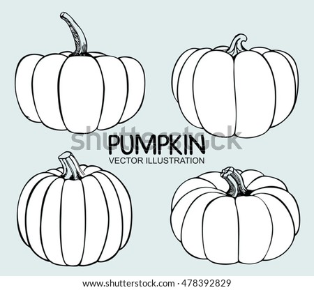 Vector Single Sketch Pumpkin. Doodle pumpkins. Hand drawn ink illustration. Royalty-Free Stock Photo #478392829