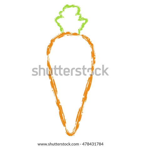 Vector hand drawn brush line color carrot with short tail on white background