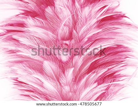 Burgundy red vintage color trends chicken feather texture background