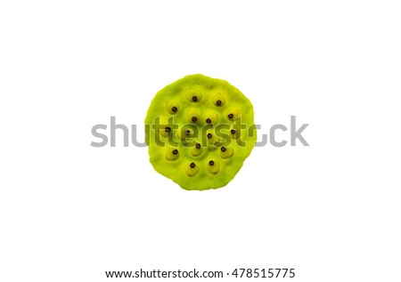 Picture concept and idea of The "Trypophobia"