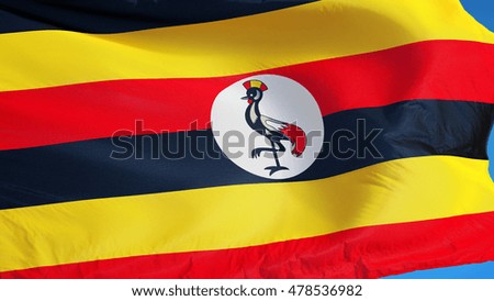Uganda flag waving against clean blue sky, close up, isolated with clipping path mask alpha channel transparency