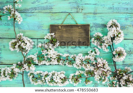 Blank wood sign hanging by spring flowers on tree branch with antique rustic mint green wooden background; white blossoms border