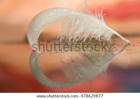 Feather in pastel background Royalty-Free Stock Photo #478629877
