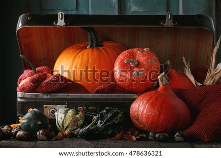 Assortment of different decorative and edible pumpkins and chestnuts in open vintage suitcase with red sacking over old wooden table. Dark rustic style
