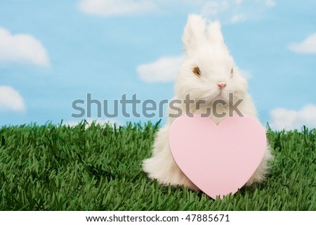 Rabbit holding blank pink heart on green grass background, rabbit