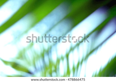 Stock Photo - Abstract light blur through the leaves of the tree crown image background pattern texture wallpaper