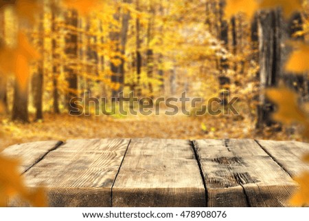 autumn background in golden forest 