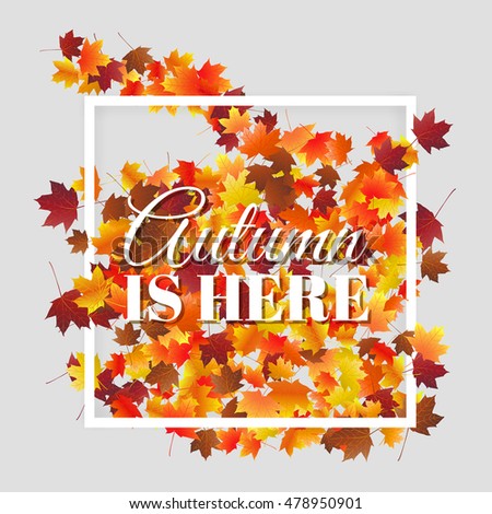 Typographic autumn season background with colorful maple leaves. Vector design for greeting card, poster, flyer.