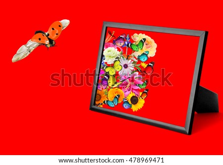 Nature art composition on red. Colorful flowers, butterflies and ladybug. Wooden frame with blank space (for photo,picture or text)