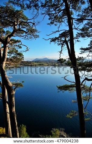 Silhouetted with trees at the seaside with deep blue sky and sea