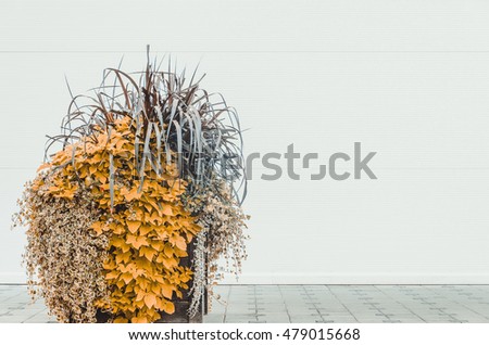 Plant in front of a white wall, space for text in a large building