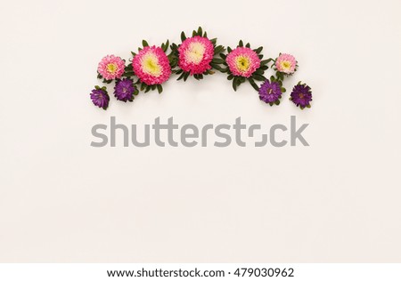 Top view of beautiful pink flowers on white background. Copy space