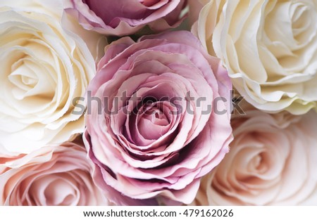 pretty paper roses