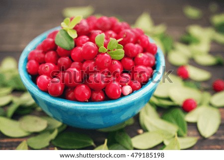  Juicy cowberry, red bilberries, cranberries in a bright blue bowl on a wooden background