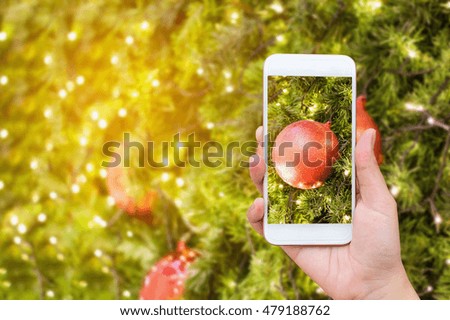 Woman hand hold mobile smartphone taking picture of christmas decorations on the branches of fir tree blur background