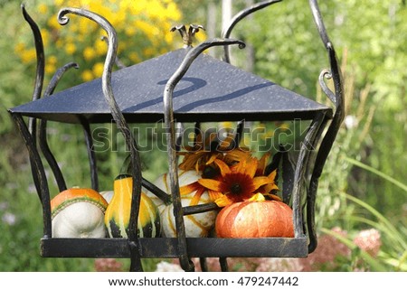 Composition with dark metal bird feeder and orange,yellow pumpkins,flowers on autumn forest background. Original photo, daylight,garden scene