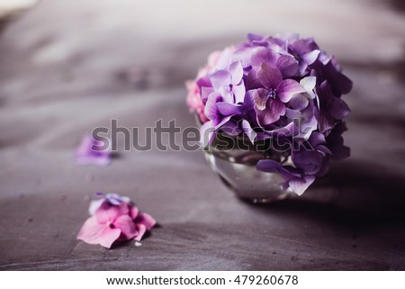 Picture in soft tones of delicate violet hydrangea flwoers standing on the grey table