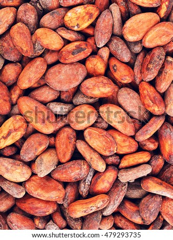 Raw Cacao Beans Background