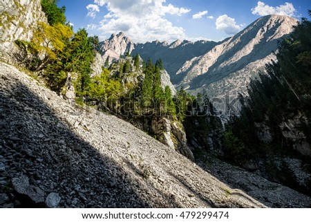 Composite mountain image. Canyon with spruce trees in mountains with rocky peaks