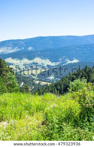 Landscape of the Pyrenees mountains with the green meadow on a summer day, Pyrenees, Girona, Alp, Catalonia, Spain