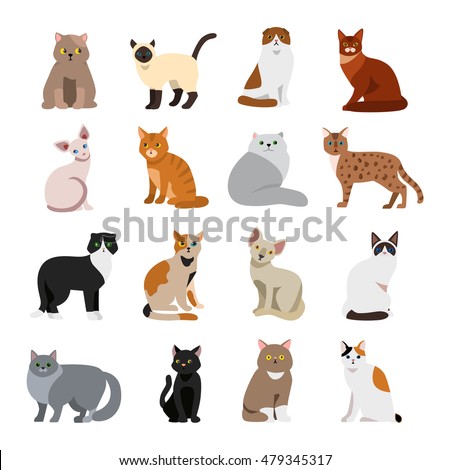 Cat breeds cute pet animal set vector illustration Royalty-Free Stock Photo #479345317