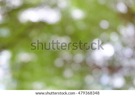 green and light green blur natural background