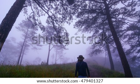 dark misty forest with lonely man with hat on path around with pine trees, Find and lost concept, Horror concept at Phu Soi Dao, Uttaradit, Thailand.