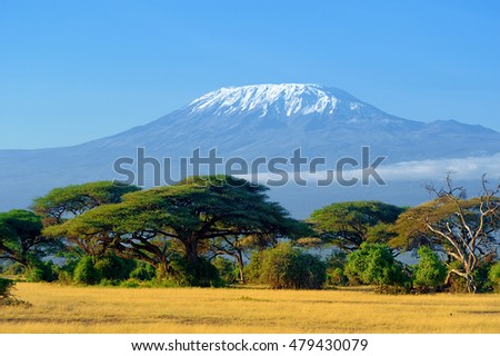 Snow on top of Mount Kilimanjaro in Amboseli Royalty-Free Stock Photo #479430079