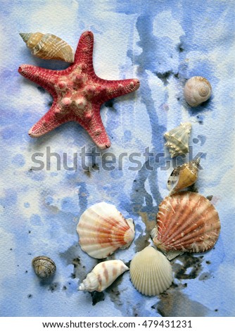 Beautiful composition  of shells with starfish on a watercolor background on textured paper with "under water " filter. Abstraction, sea theme, nature, travel, science, beauty.
