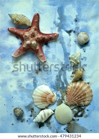 Beautiful composition  of these natural shells with starfish on a painted watercolor background on textured paper with "under water " filter. Abstraction, sea theme, nature, travel, science, beauty.