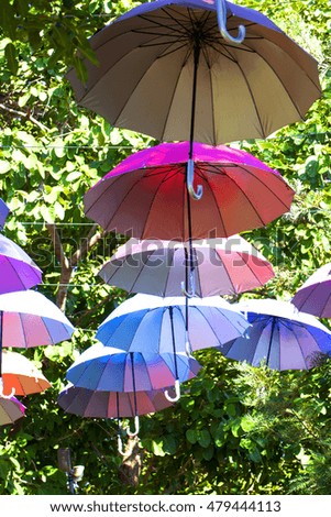 Several multi-colored umbrella hanging on the tree.