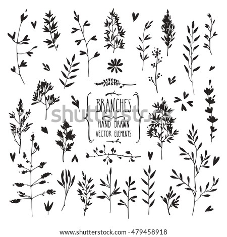 Hand drawn collection of rustic and floral design elements. Plants, flowers, leaves, tree branches silhouettes made with ink. Isolated vector set.