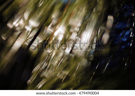 abstract branches of white pine , for blurred background
