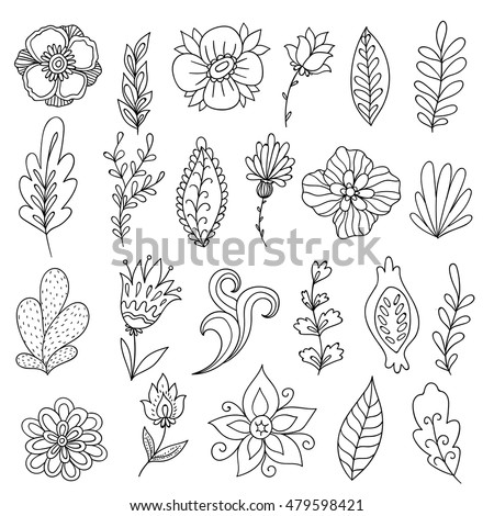Set of vector abstract flowers and plants. Hand drawn floral clip art. Beautiful branches and petals. Doodle leaves collection.
