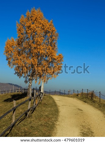 Landscape done in a mountain village . An own composition . The autumn landscape .