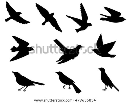 Set of silhouettes of flying and sitting birds