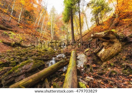 Wild autumn mountain forest with waterfall, nature colorful background. Zejmarska roklina, Narodny park Slovensky Raj (National park Slovak paradise), Slovakia