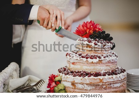 the married couple cut the wedding cake Royalty-Free Stock Photo #479844976