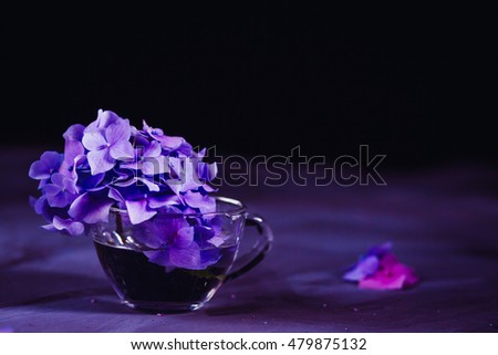 Picture in blue tones of violet hydrangea standing on the table