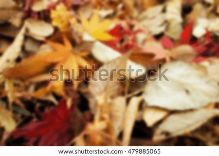 Colorful and bright blurred background made of  autumn leaves