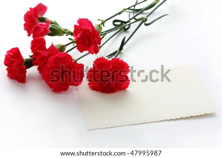 Red carnations and blank card