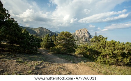 juniper grove in the mountains of Crimea, a new light, summer