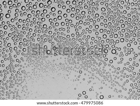 bubbles in water close-up black-and-white background