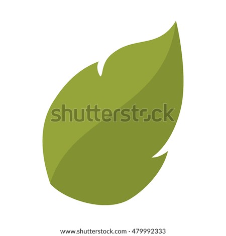 leaf plant natural sheet
