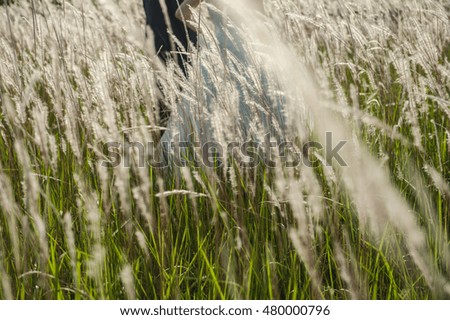 Couple taking backdrop Worth Reading focal blur stand behind grass.
